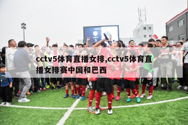 cctv5体育直播女排,cctv5体育直播女排赛中国和巴西