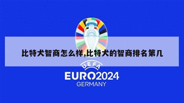 比特犬智商怎么样,比特犬的智商排名第几