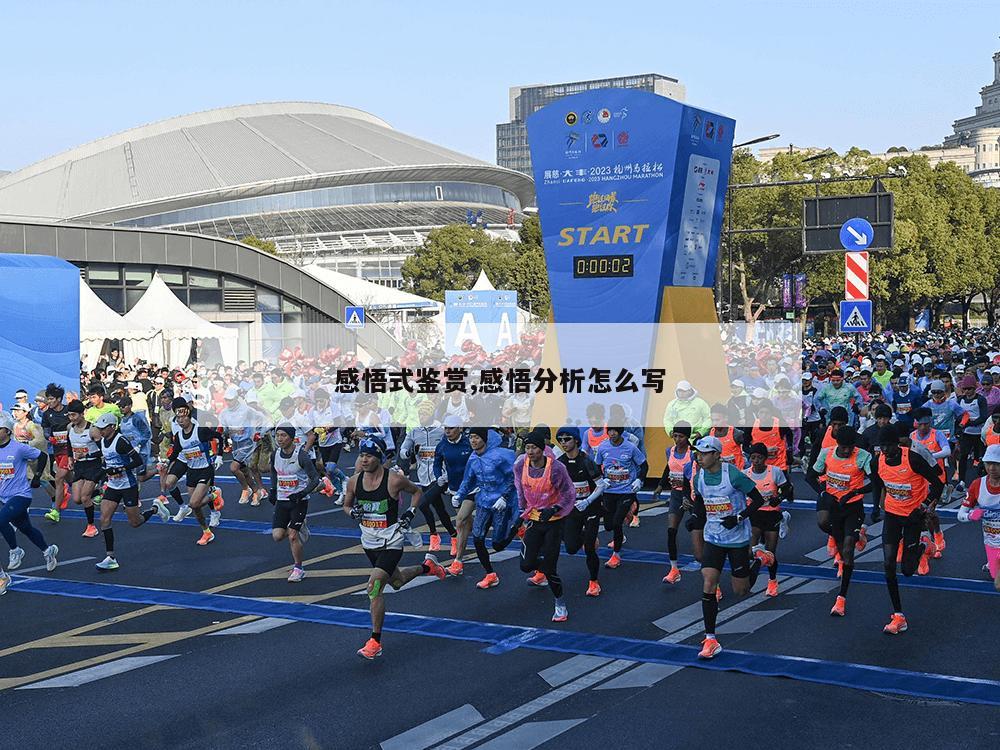 感悟式鉴赏,感悟分析怎么写