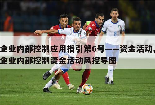 企业内部控制应用指引第6号——资金活动,企业内部控制资金活动风控导图