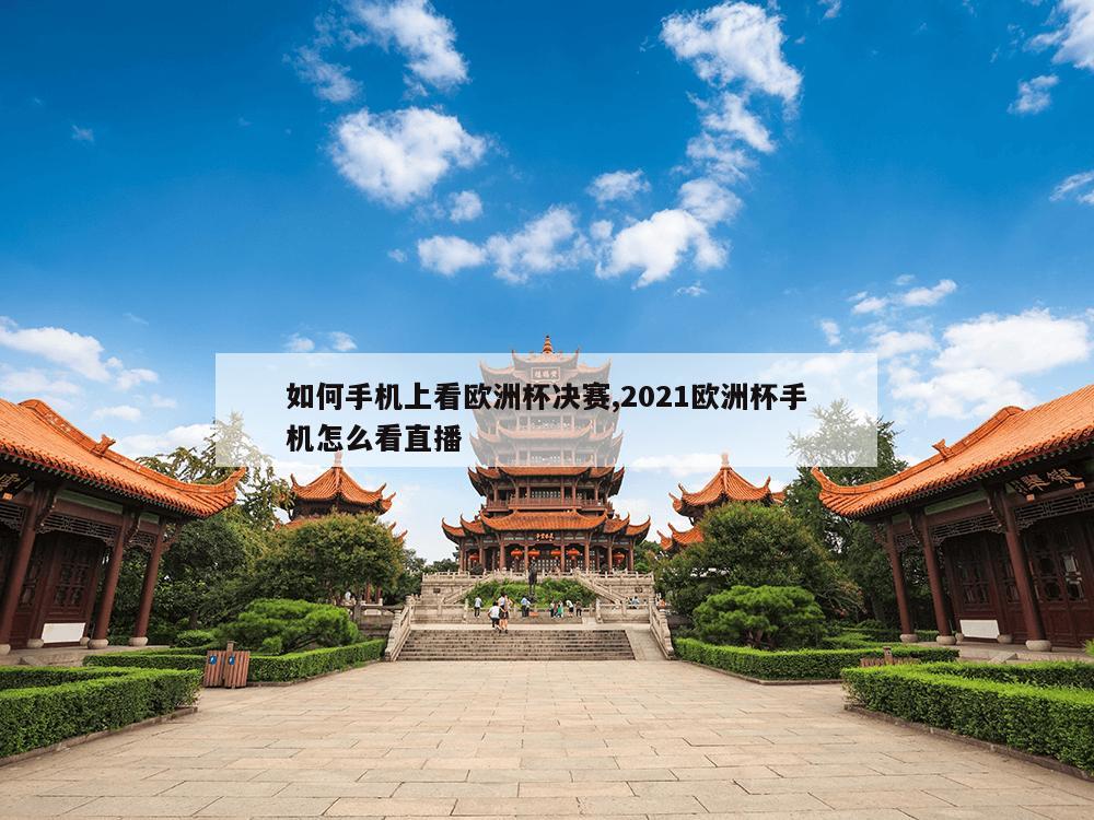 如何手机上看欧洲杯决赛,2021欧洲杯手机怎么看直播