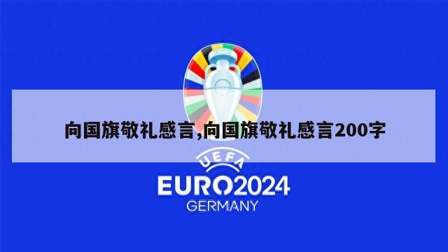 向国旗敬礼感言,向国旗敬礼感言200字