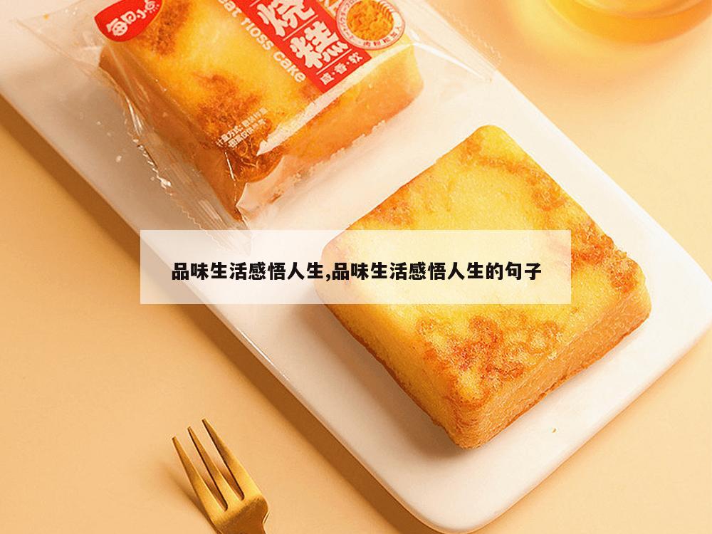 品味生活感悟人生,品味生活感悟人生的句子