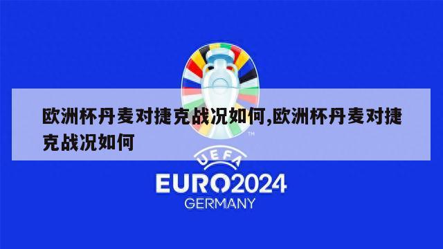 欧洲杯丹麦对捷克战况如何,欧洲杯丹麦对捷克战况如何