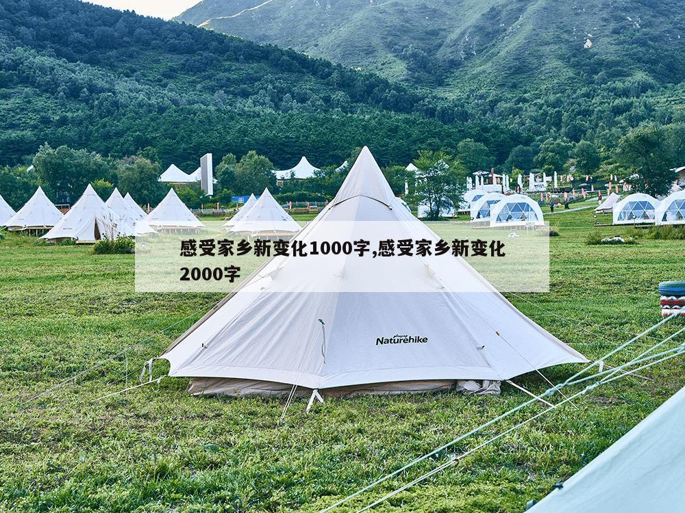 感受家乡新变化1000字,感受家乡新变化2000字